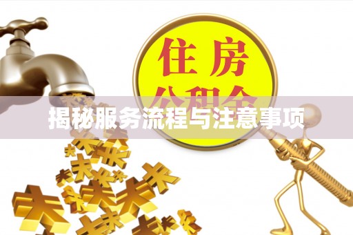田中揭秘服务流程与注意事项