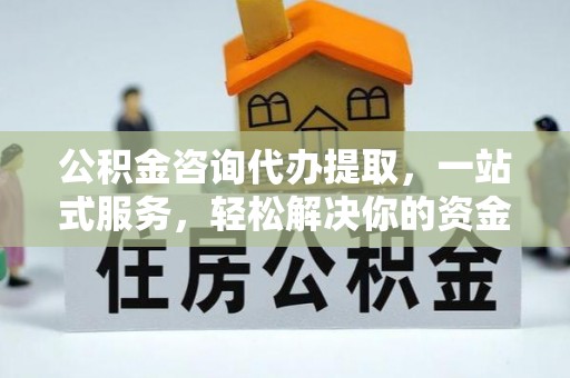 田中公积金咨询代办提取，一站式服务，轻松解决你的资金难题