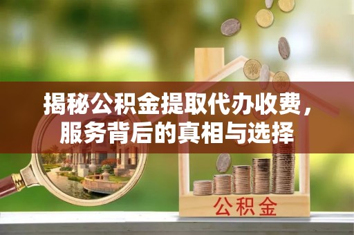 田中揭秘公积金提取代办收费，服务背后的真相与选择