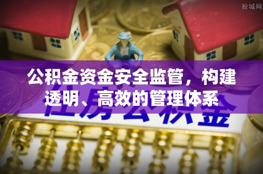 田中公积金资金安全监管，构建透明、高效的管理体系