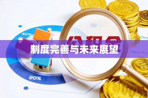 田中制度完善与未来展望