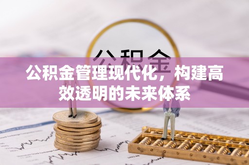 田中公积金管理现代化，构建高效透明的未来体系
