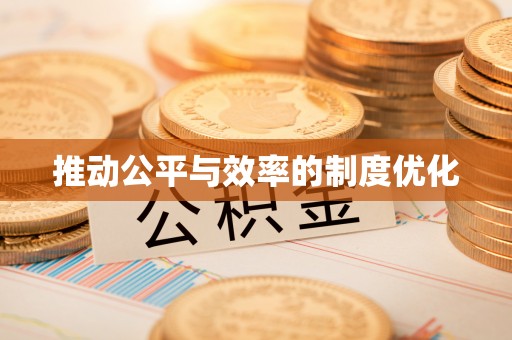 田中推动公平与效率的制度优化