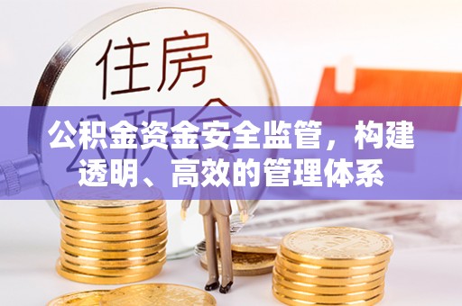 田中公积金资金安全监管，构建透明、高效的管理体系