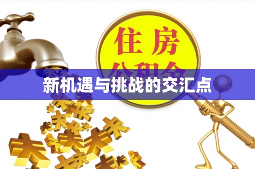 田中新机遇与挑战的交汇点