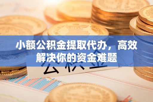 田中小额公积金提取代办，高效解决你的资金难题