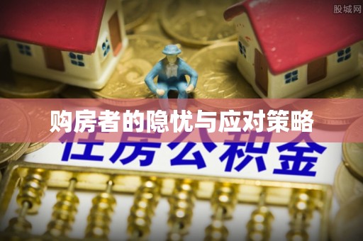 田中购房者的隐忧与应对策略