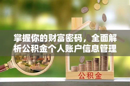 田中掌握你的财富密码，全面解析公积金个人账户信息管理与优化