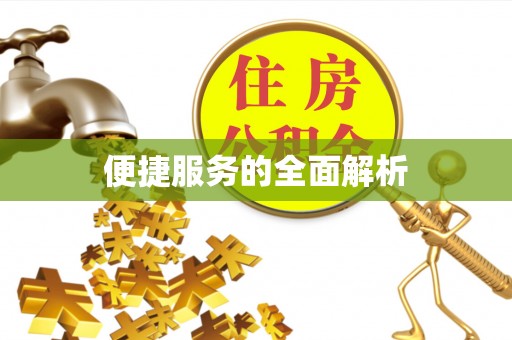 田中便捷服务的全面解析