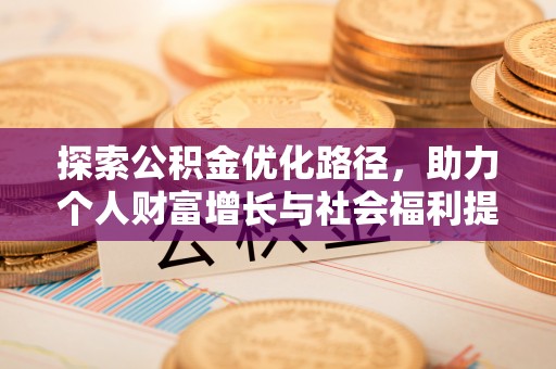 田中探索公积金优化路径，助力个人财富增长与社会福利提升