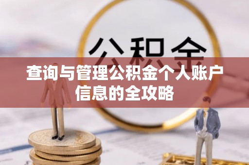 田中查询与管理公积金个人账户信息的全攻略