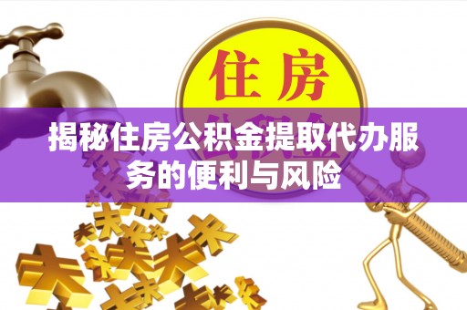 田中揭秘住房公积金提取代办服务的便利与风险