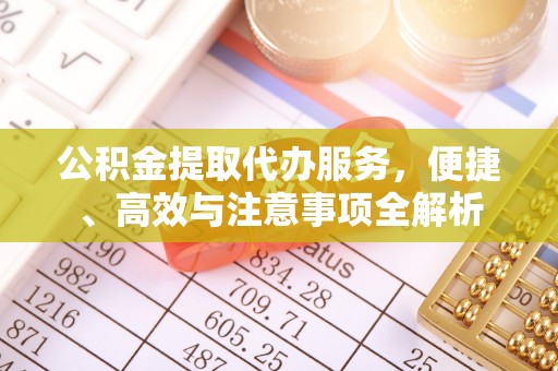 田中公积金提取代办服务，便捷、高效与注意事项全解析