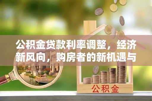 田中公积金贷款利率调整，经济新风向，购房者的新机遇与挑战