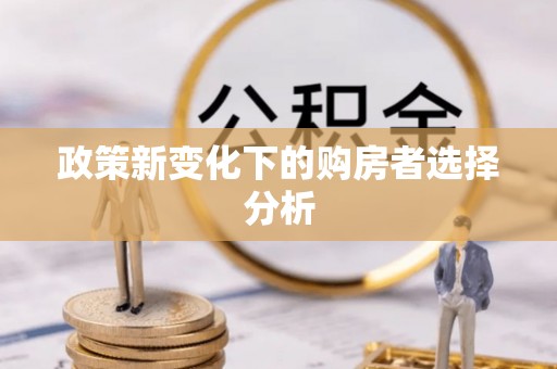 田中政策新变化下的购房者选择分析