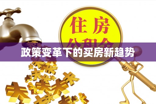 田中政策变革下的买房新趋势
