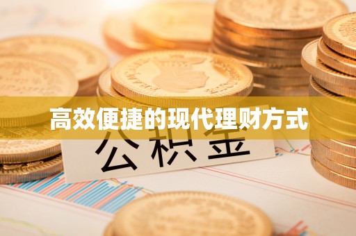 田中高效便捷的现代理财方式