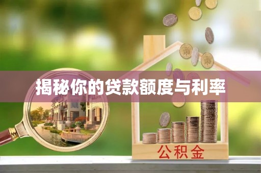 田中揭秘你的贷款额度与利率