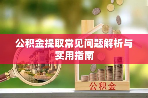 田中公积金提取常见问题解析与实用指南