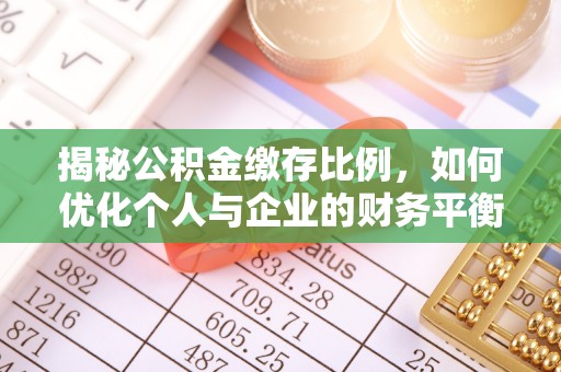 田中揭秘公积金缴存比例，如何优化个人与企业的财务平衡