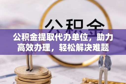 田中公积金提取代办单位，助力高效办理，轻松解决难题