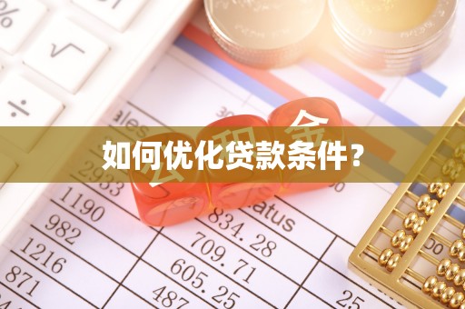 田中如何优化贷款条件？