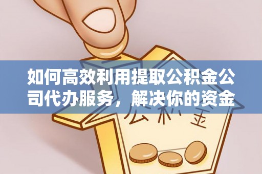 田中如何高效利用提取公积金公司代办服务，解决你的资金难题