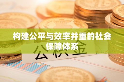 田中构建公平与效率并重的社会保障体系