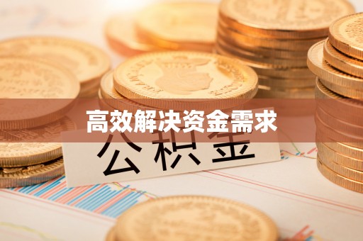 田中高效解决资金需求