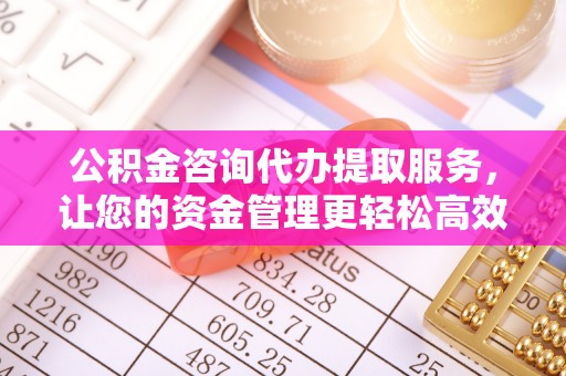 田中公积金咨询代办提取服务，让您的资金管理更轻松高效