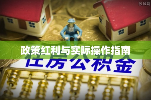 田中政策红利与实际操作指南