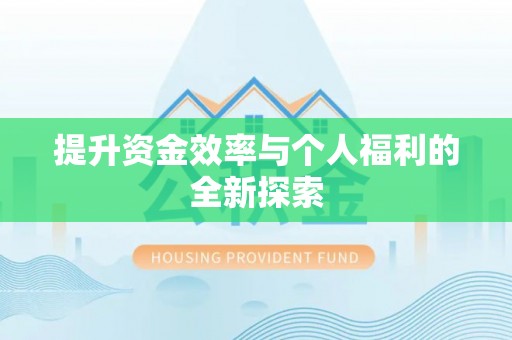 田中提升资金效率与个人福利的全新探索