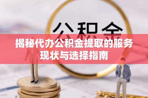 田中揭秘代办公积金提取的服务现状与选择指南