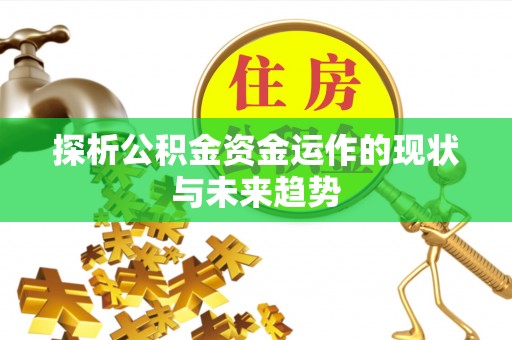 田中探析公积金资金运作的现状与未来趋势