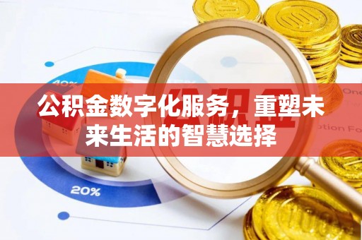 田中公积金数字化服务，重塑未来生活的智慧选择