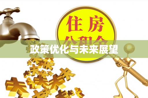 田中政策优化与未来展望