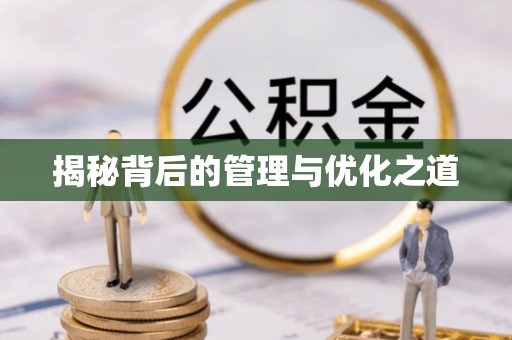 田中揭秘背后的管理与优化之道