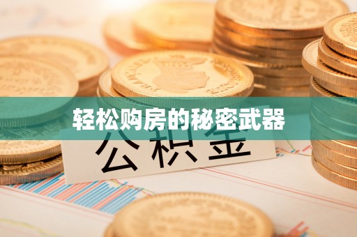 田中轻松购房的秘密武器