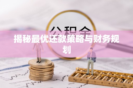 田中揭秘最优还款策略与财务规划