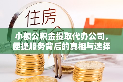 田中小额公积金提取代办公司，便捷服务背后的真相与选择
