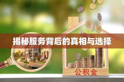 田中揭秘服务背后的真相与选择