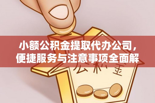 田中小额公积金提取代办公司，便捷服务与注意事项全面解析