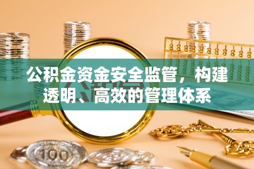 田中公积金资金安全监管，构建透明、高效的管理体系