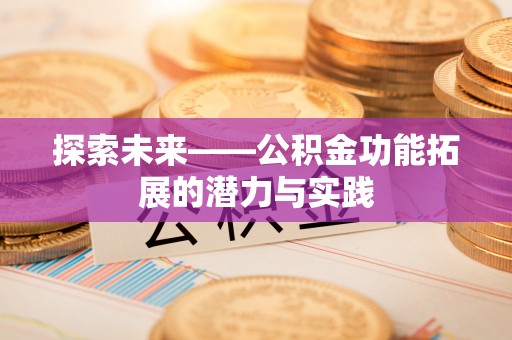 田中探索未来——公积金功能拓展的潜力与实践
