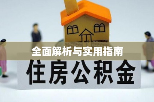 田中全面解析与实用指南